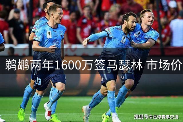 鹈鹕两年1600万签马瑟林 市场价值遭高估？